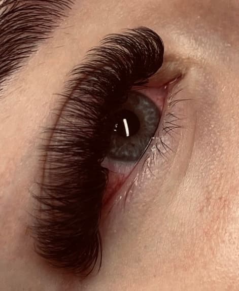 Wimpern